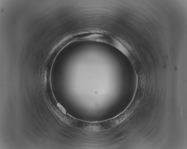 X0000087640350200705031516