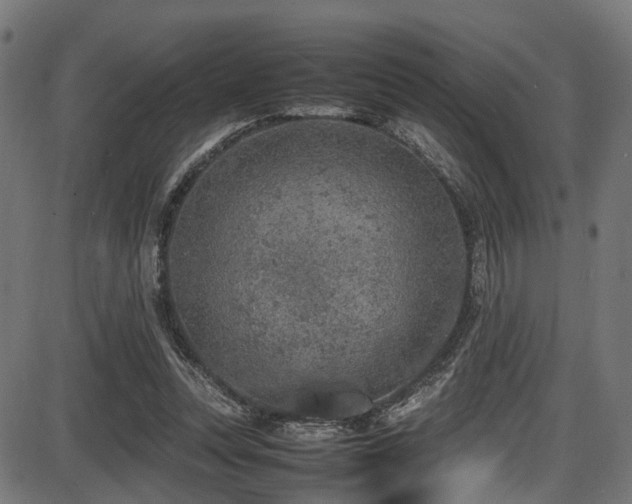 X0000087640351200705031516