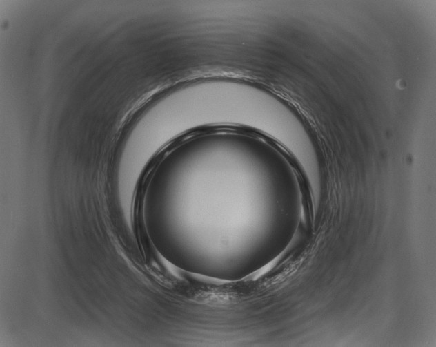 X0000087640352200705031516