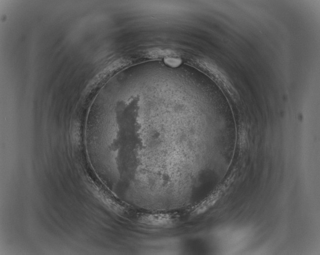 X0000087640353200705031516