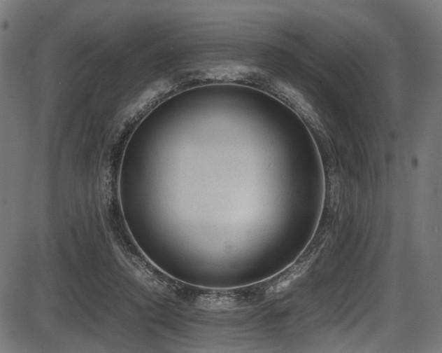 X0000087640354200705031516