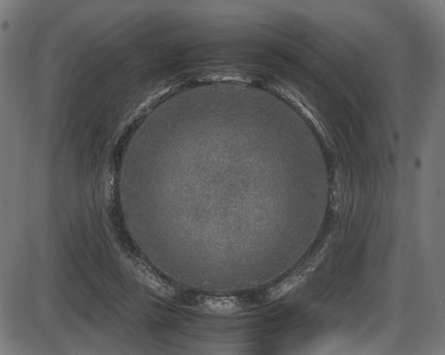 X0000087640355200705031516