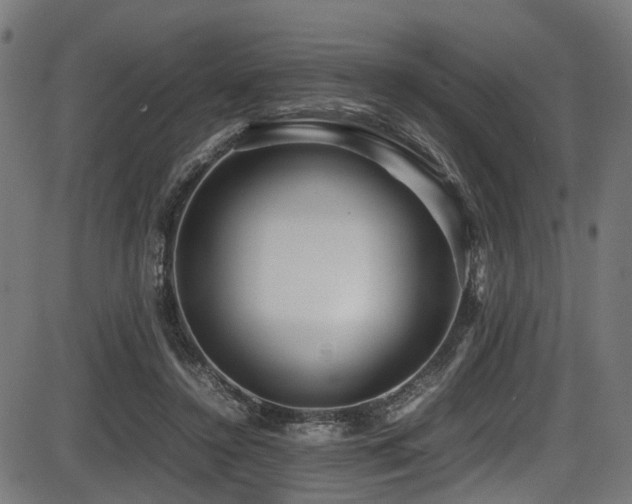 X0000087640356200705031516