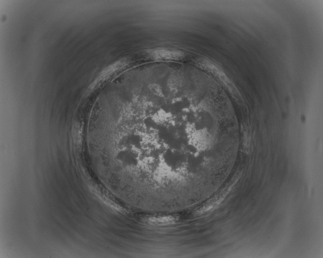 X0000087640357200705031516