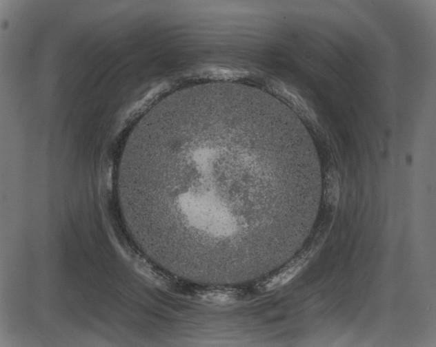 X0000087640358200705031516