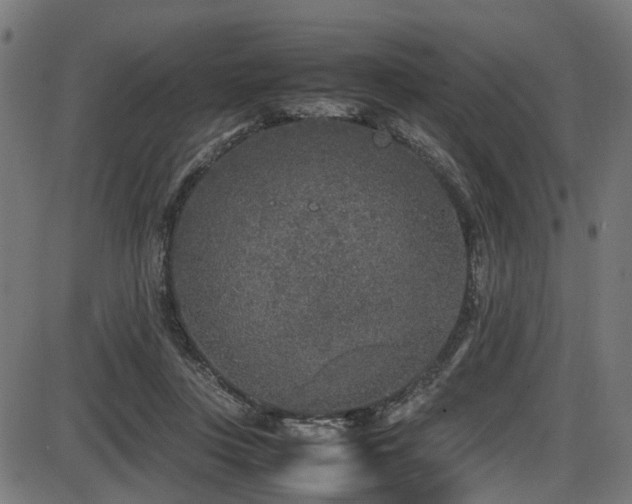 X0000087640359200705031516