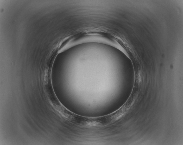 X0000087640360200705031516