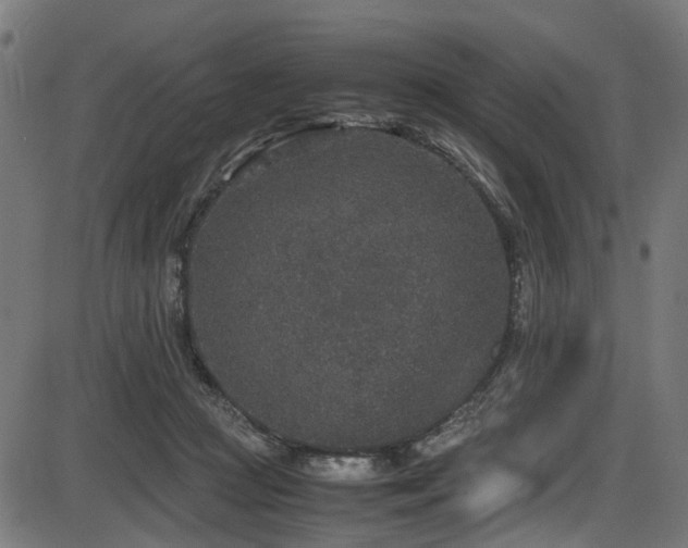 X0000087640361200705031516