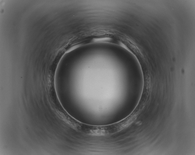 X0000087640362200705031516