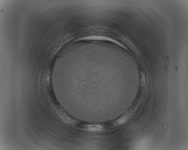 X0000087640363200705031516