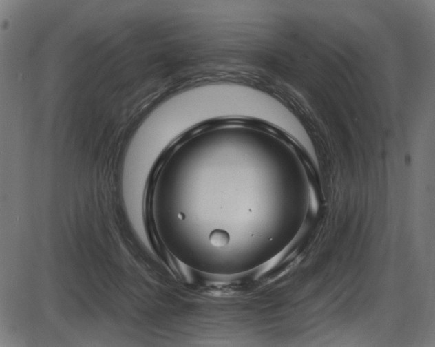 X0000087640364200705031516