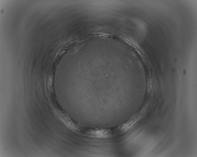 X0000087640365200705031516