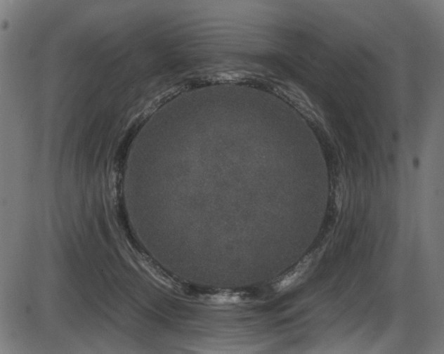 X0000087640366200705031516