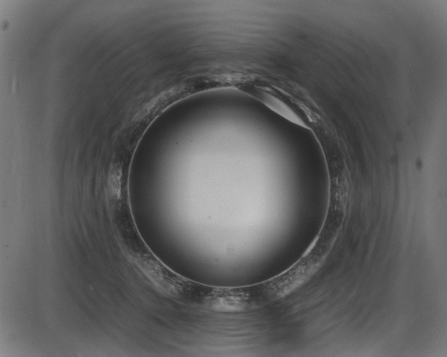 X0000087640368200705031516