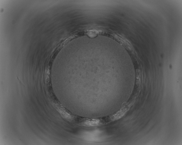 X0000087640369200705031516