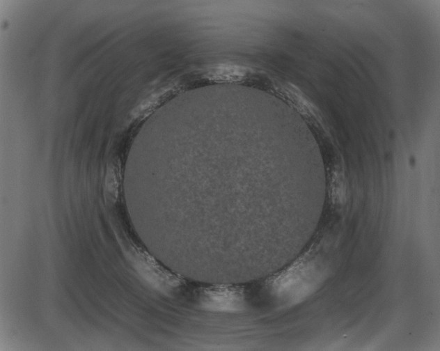 X0000087640370200705031516