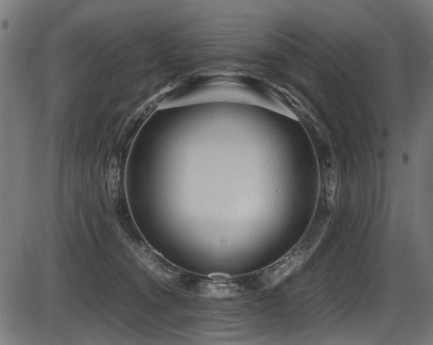 X0000087640372200705031516