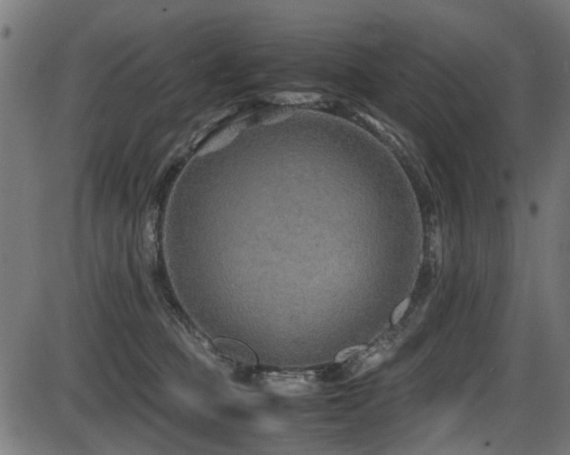 X0000087640373200705031516