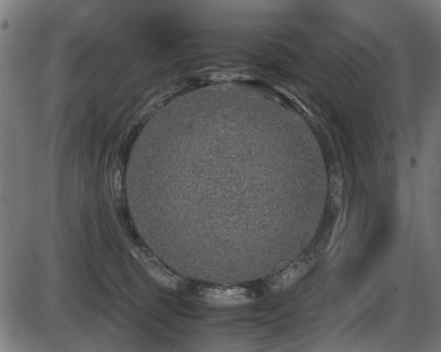 X0000087640375200705031516