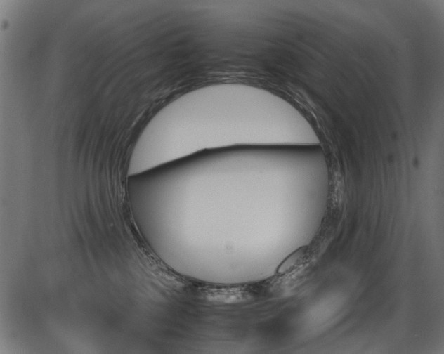 X0000087640377200705031516