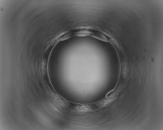 X0000087640378200705031516