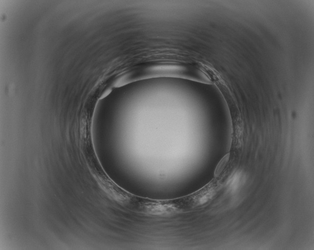 X0000087640379200705031516