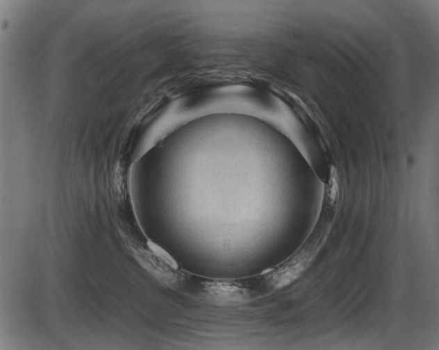 X0000087640380200705031516