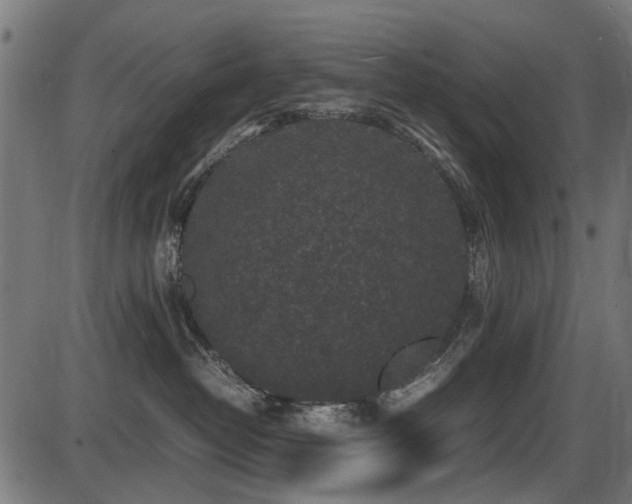 X0000087640382200705031516