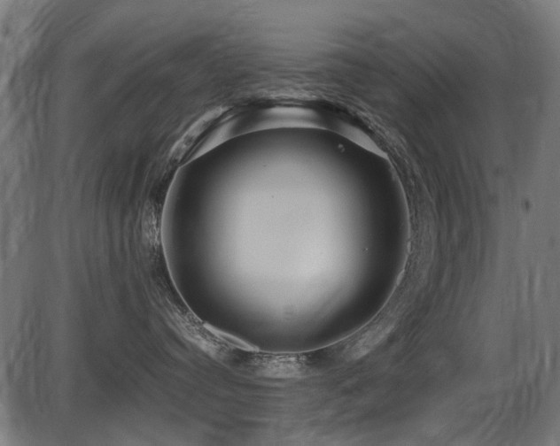 X0000087640384200705031516