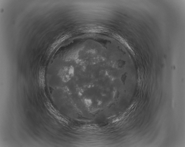 X0000087640386200705031516