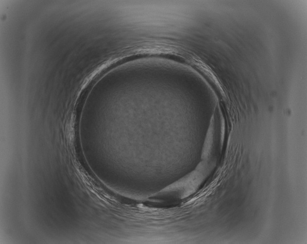 X0000087640387200705031516