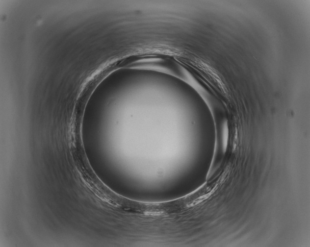 X0000087640388200705031516