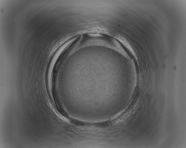 X0000087640389200705031516