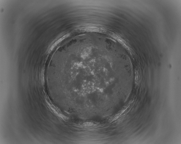 X0000087640390200705031516