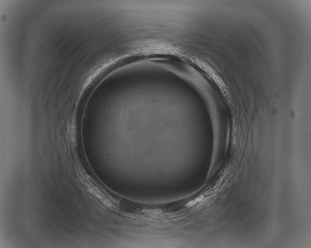 X0000087640391200705031515