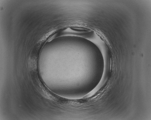 X0000087640393200705031515