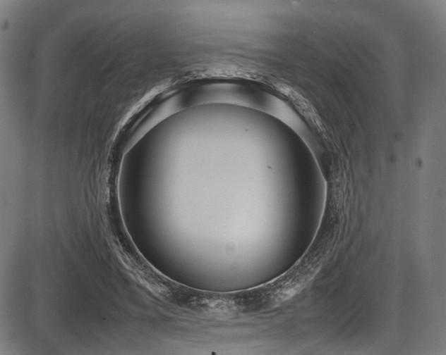 X0000087640395200705031515