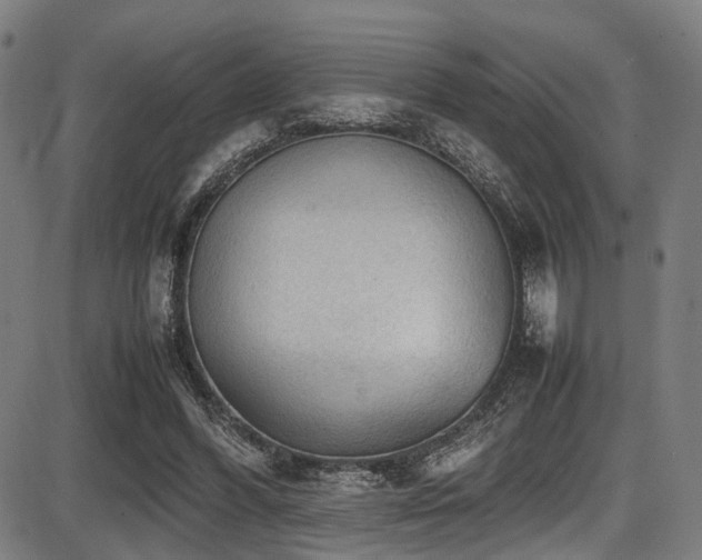 X0000087640396200705031515