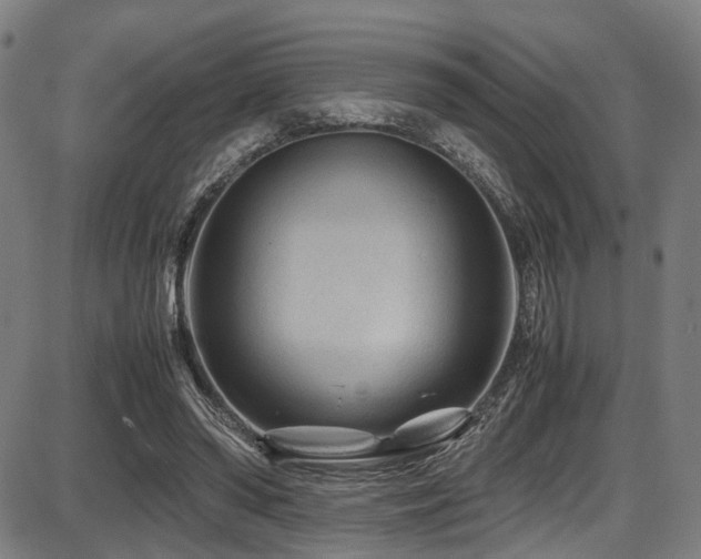 X0000087640398200705031515