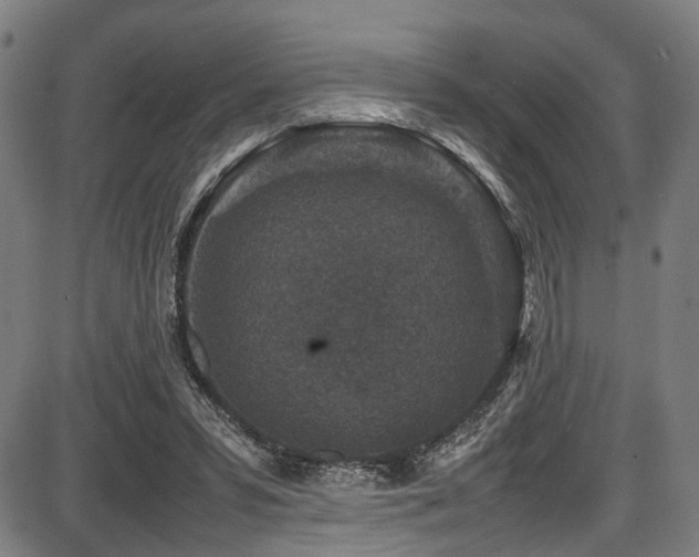 X0000087640399200705031515