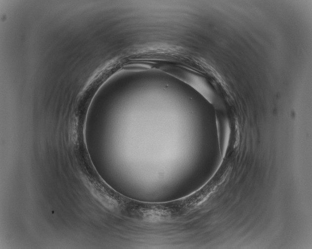 X0000087640400200705031515