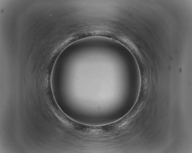 X0000087640401200705031515