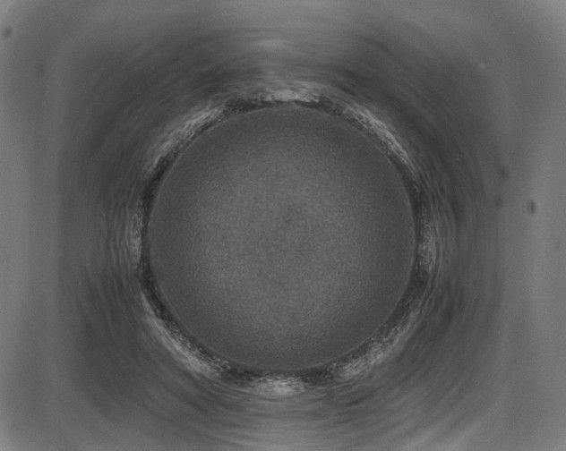 X0000087640402200705031515