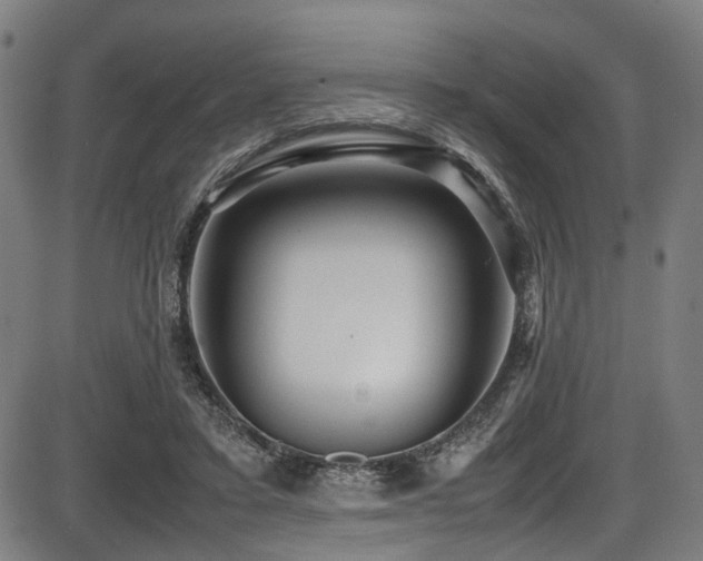 X0000087640403200705031515