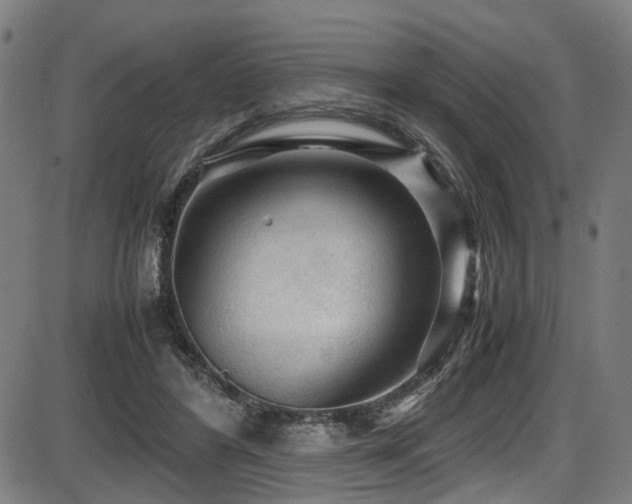 X0000087640404200705031515