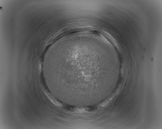 X0000087640405200705031515