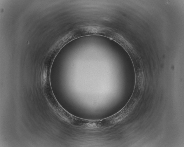 X0000087640406200705031515