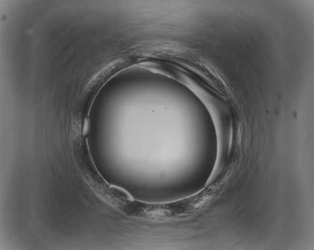 X0000087640407200705031515