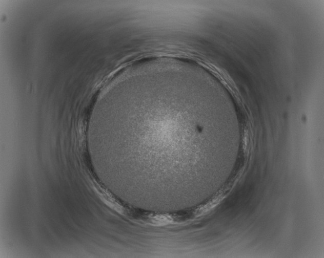 X0000087640409200705031515