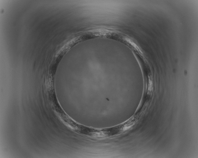 X0000087640411200705031515